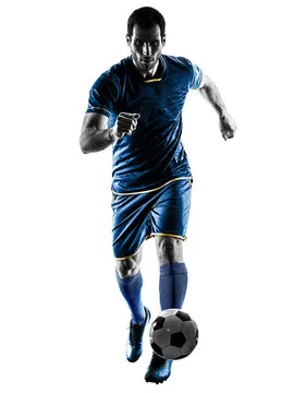 乐鱼体育 主要标志